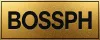 logo BOSSPH COM’s